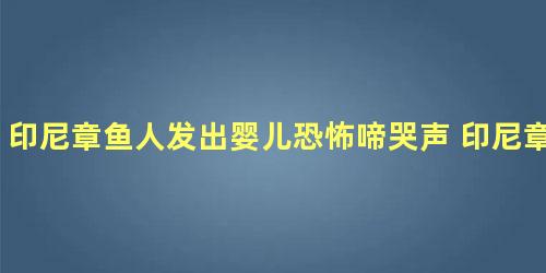 印尼章鱼人发出婴儿恐怖啼哭声 印尼章鱼人是真的吗